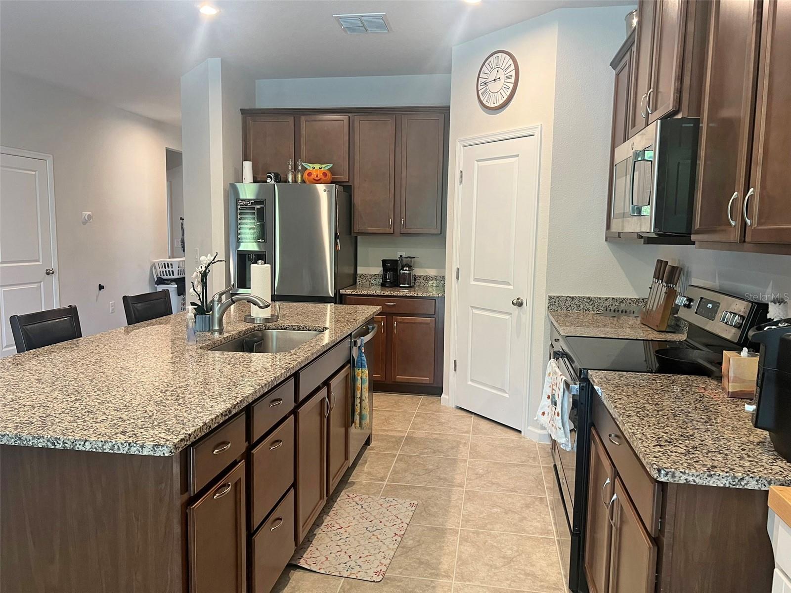 224 AUGUST FERN LOOP, MOUNT DORA, FL — photo 24