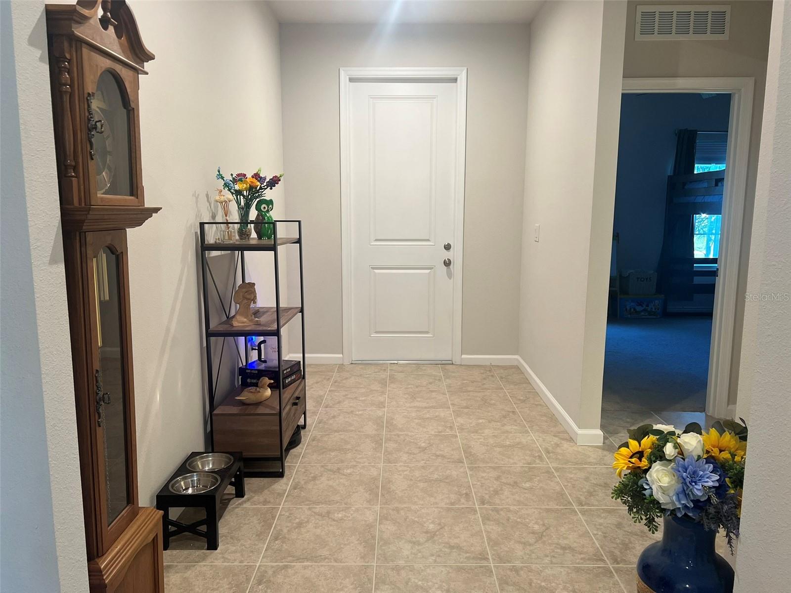 224 AUGUST FERN LOOP, MOUNT DORA, FL — photo 49