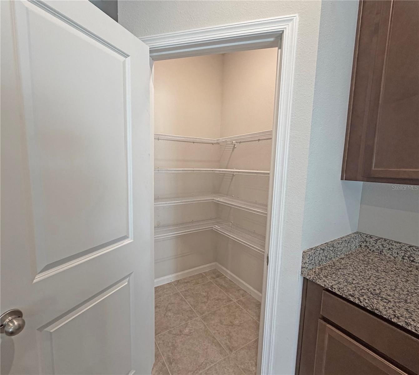 224 AUGUST FERN LOOP, MOUNT DORA, FL — photo 23
