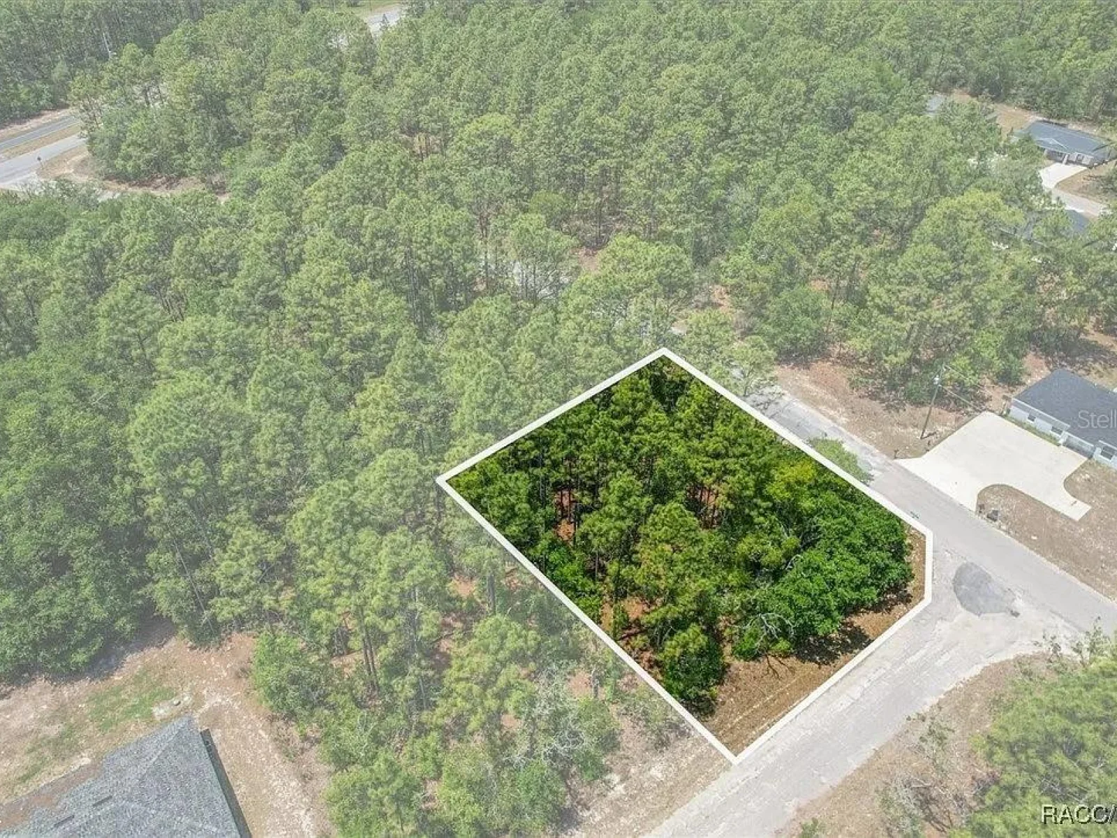 9410 N PEACHTREE WAY, CITRUS SPRINGS, FL — photo 4