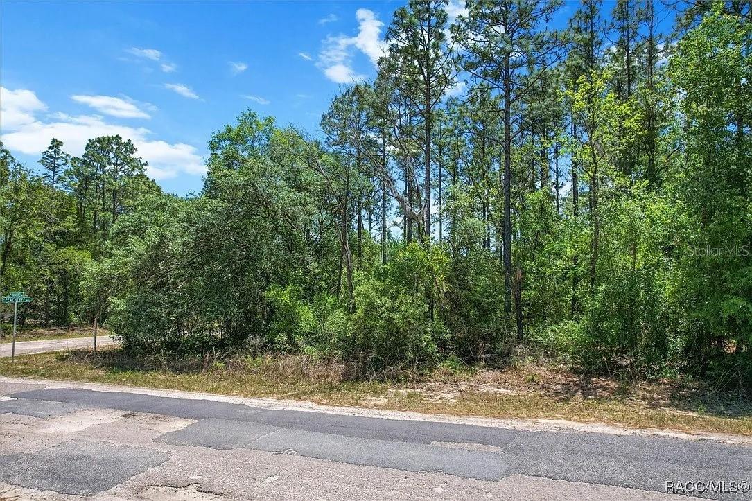 9410 N PEACHTREE WAY, CITRUS SPRINGS, FL — photo 5