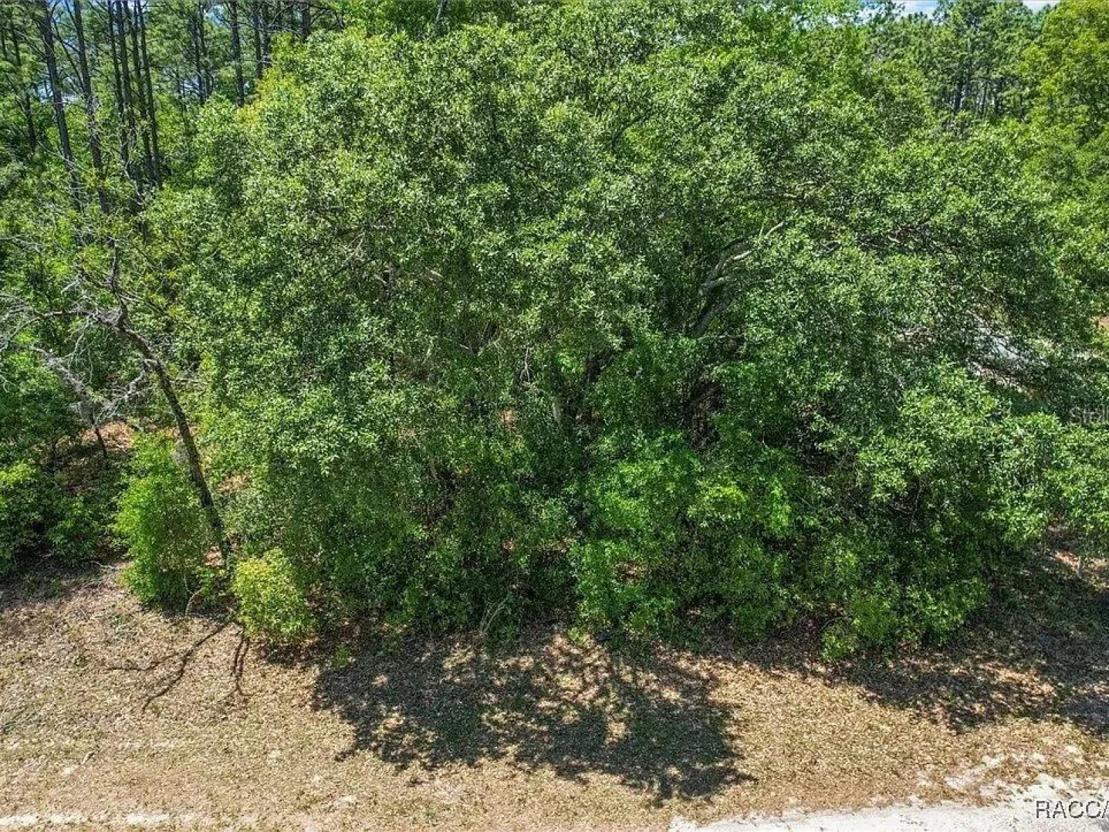 9410 N PEACHTREE WAY, CITRUS SPRINGS, FL — photo 9