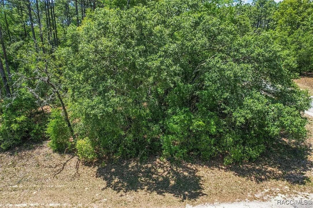 9410 N PEACHTREE WAY, CITRUS SPRINGS, FL — photo 10