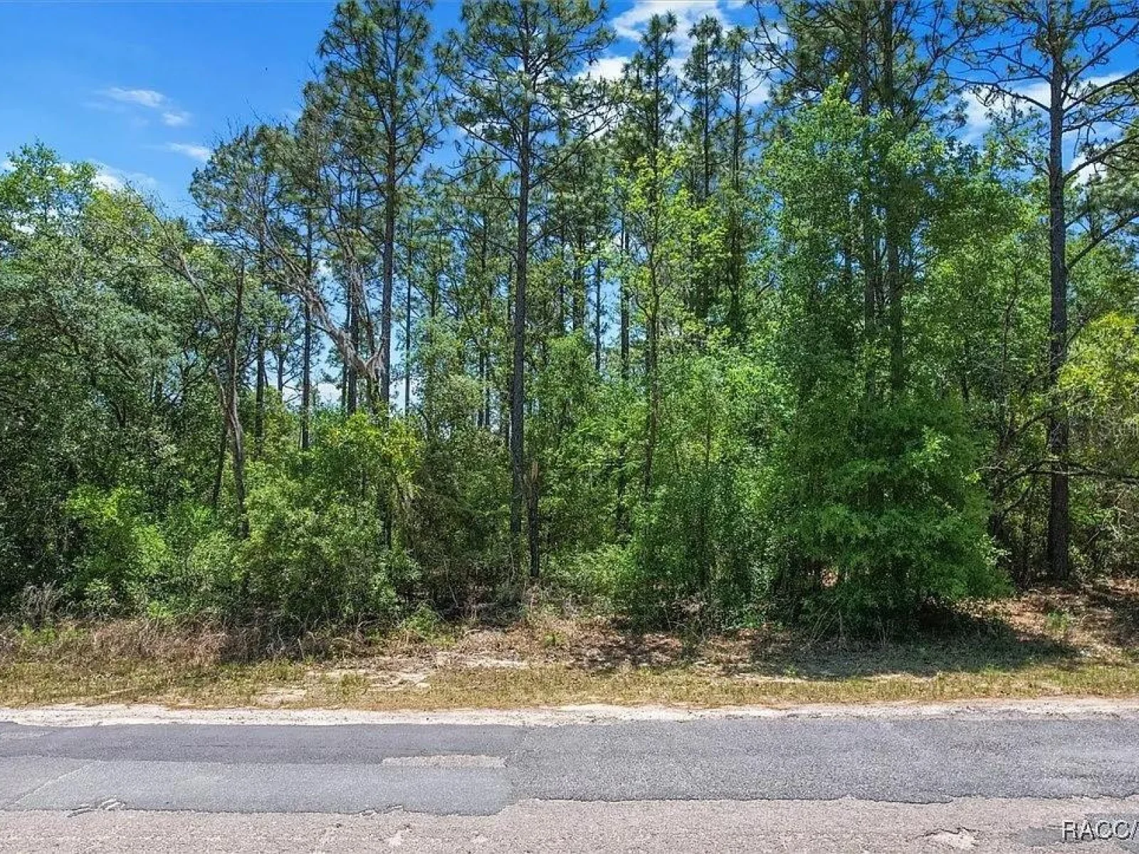 9410 N PEACHTREE WAY, CITRUS SPRINGS, FL — photo 11