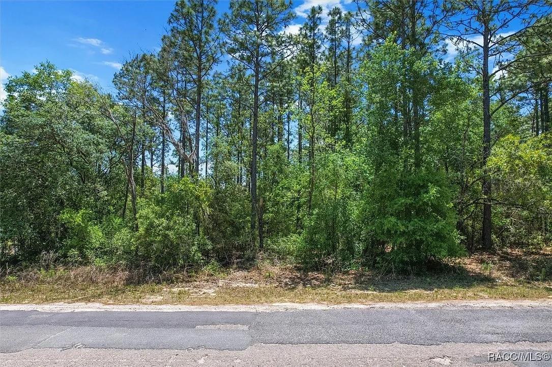 9410 N PEACHTREE WAY, CITRUS SPRINGS, FL — photo 12