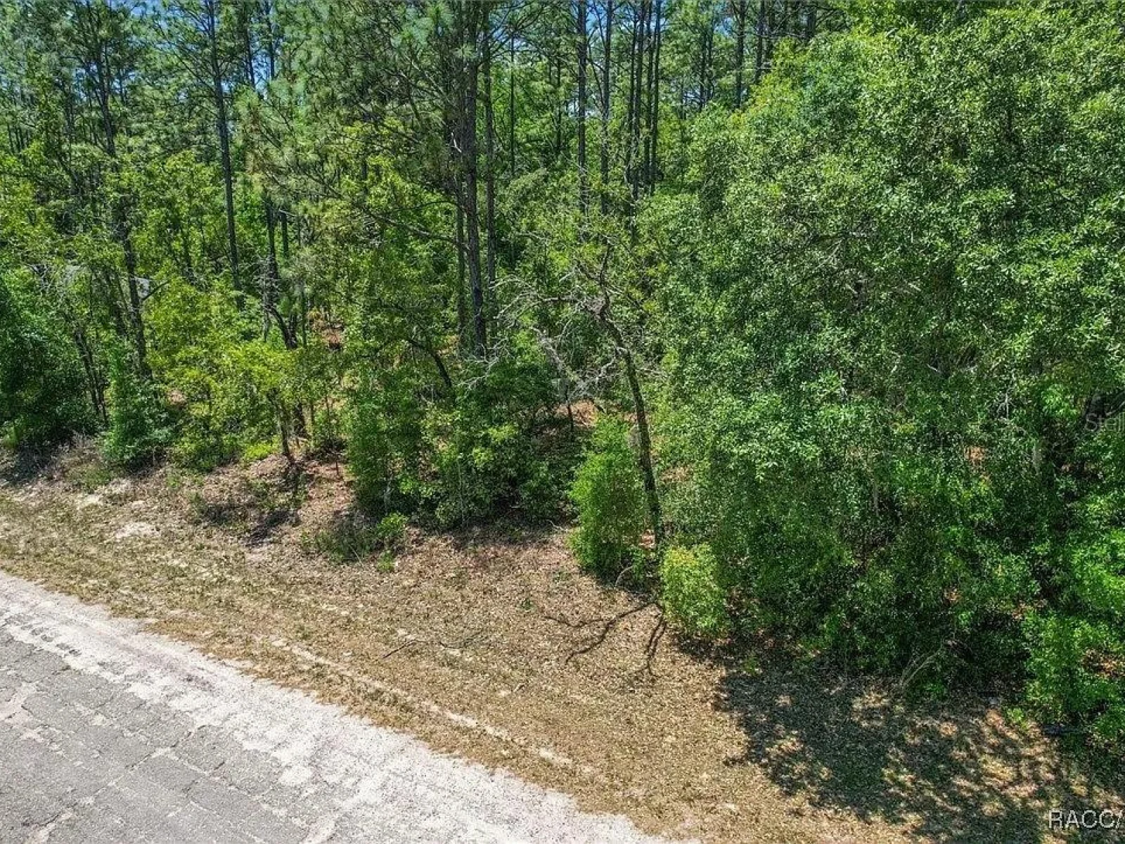 9410 N PEACHTREE WAY, CITRUS SPRINGS, FL — photo 29