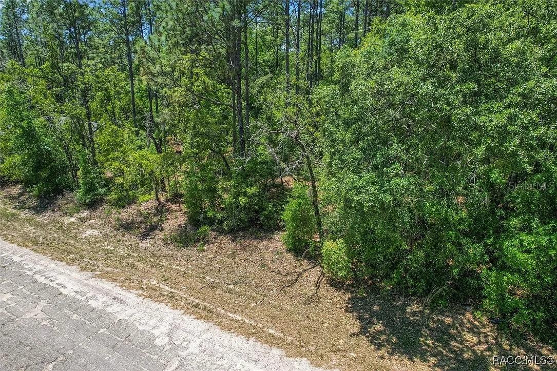 9410 N PEACHTREE WAY, CITRUS SPRINGS, FL — photo 30