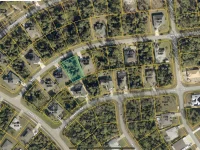 VIVIAN RD — photo 2
