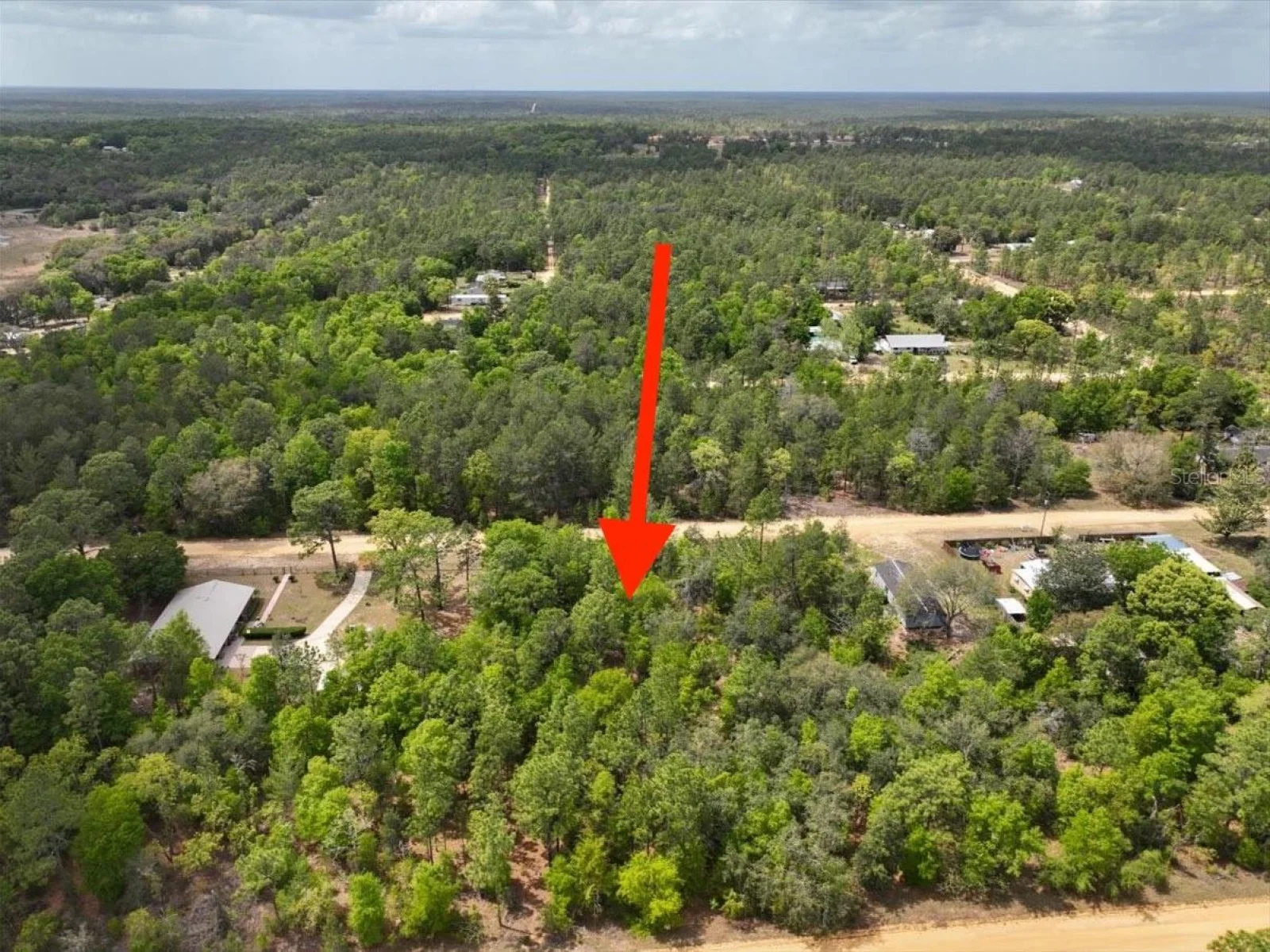 118 PATCH ST, INTERLACHEN, FL — photo 15