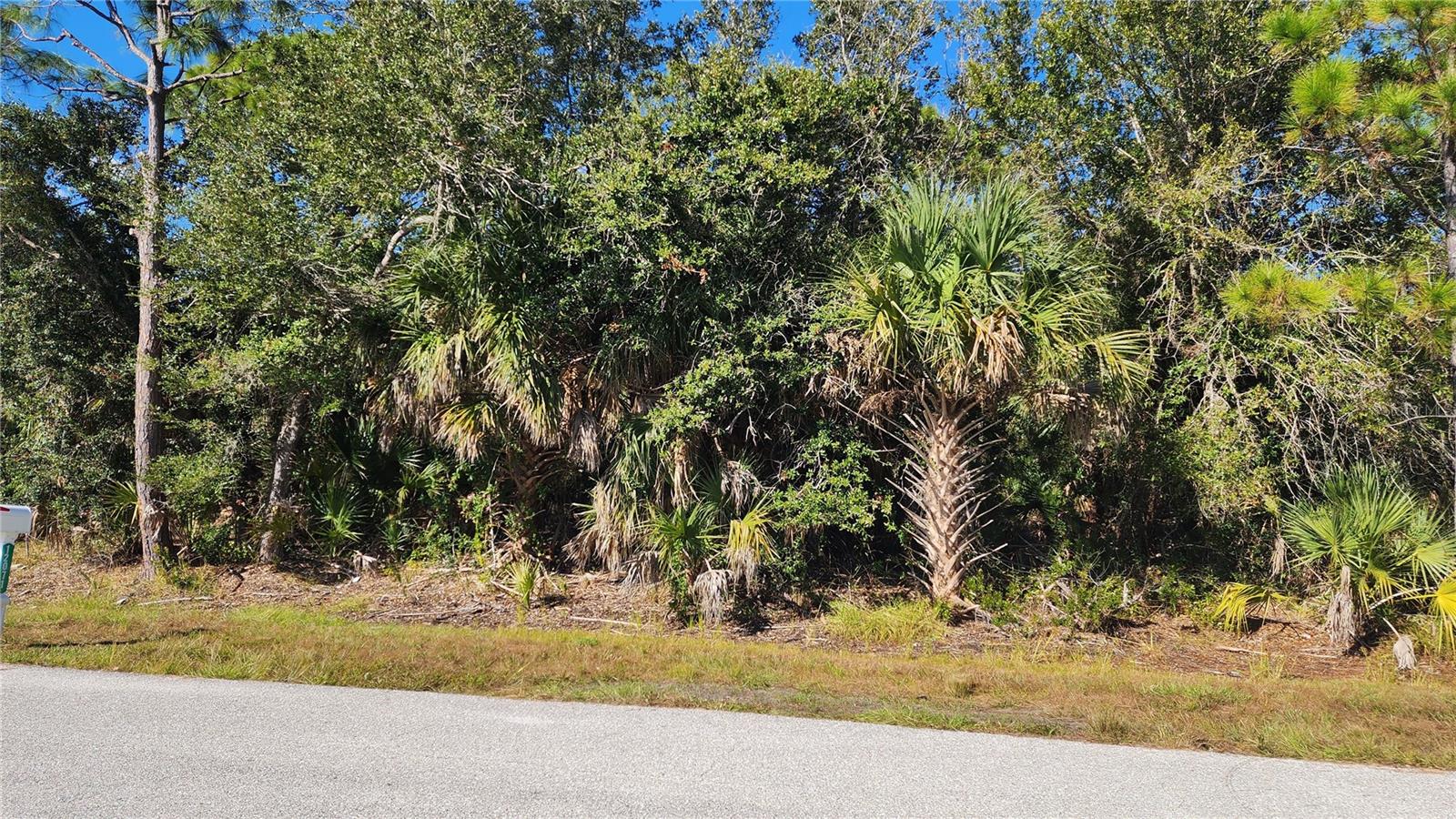 12062 COLEMAN AVE, PORT CHARLOTTE, FL — photo 4