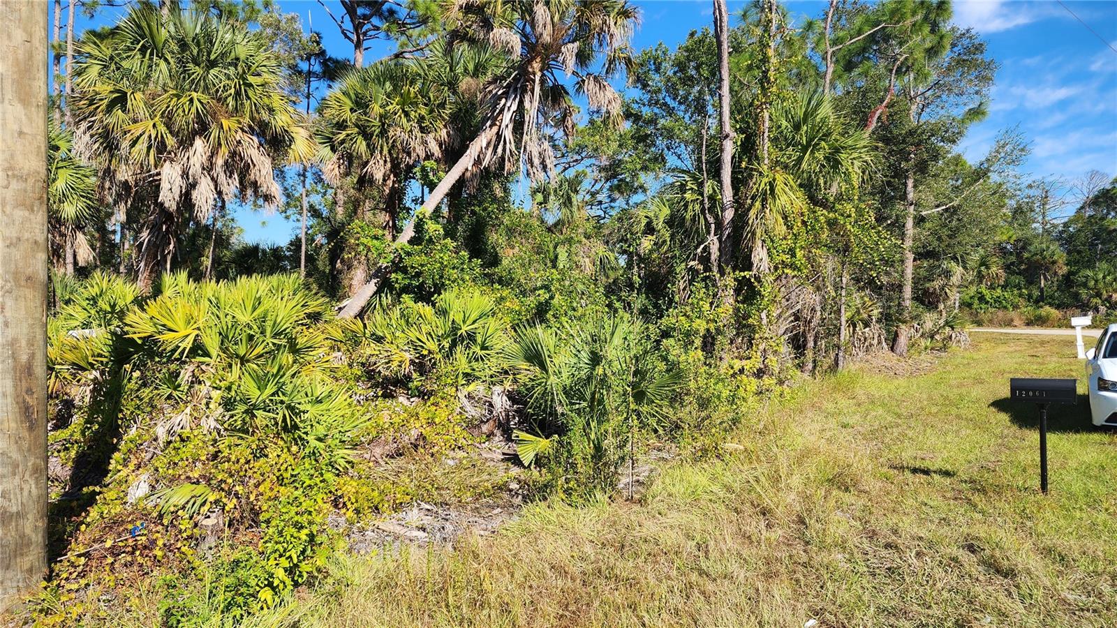 12062 COLEMAN AVE, PORT CHARLOTTE, FL — photo 8