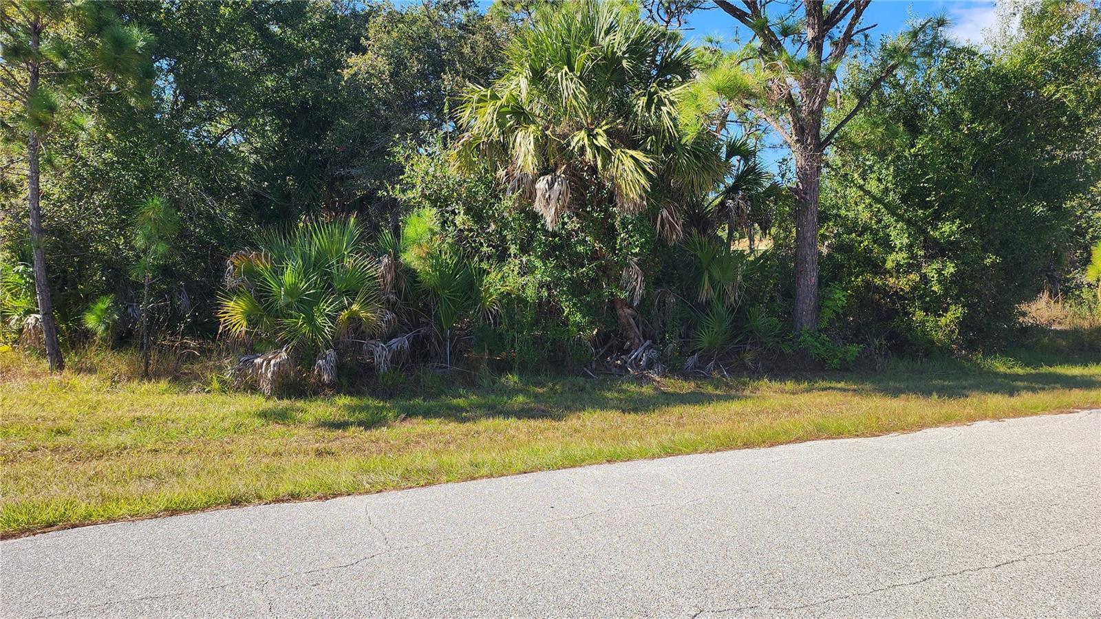 12062 COLEMAN AVE, PORT CHARLOTTE, FL — photo 10