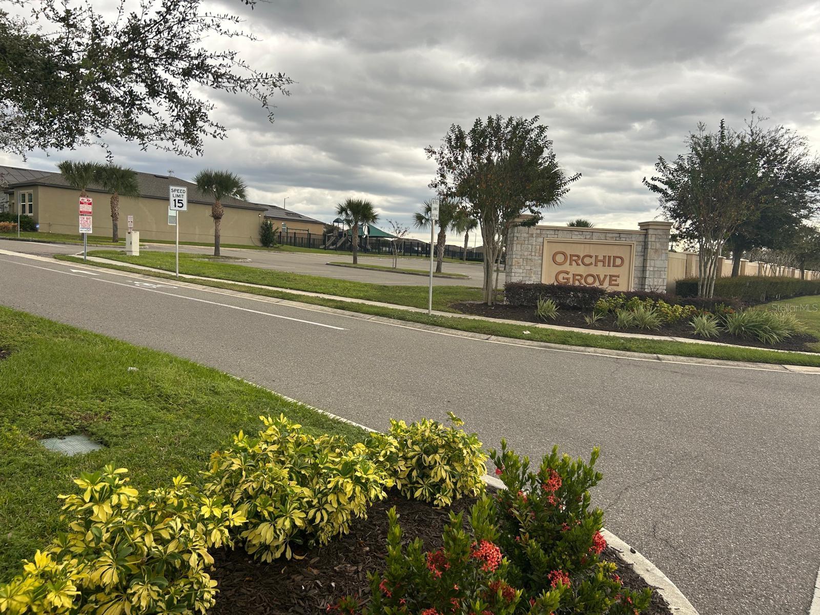 805 ORCHID GROVE BLVD, DAVENPORT, FL — photo 16