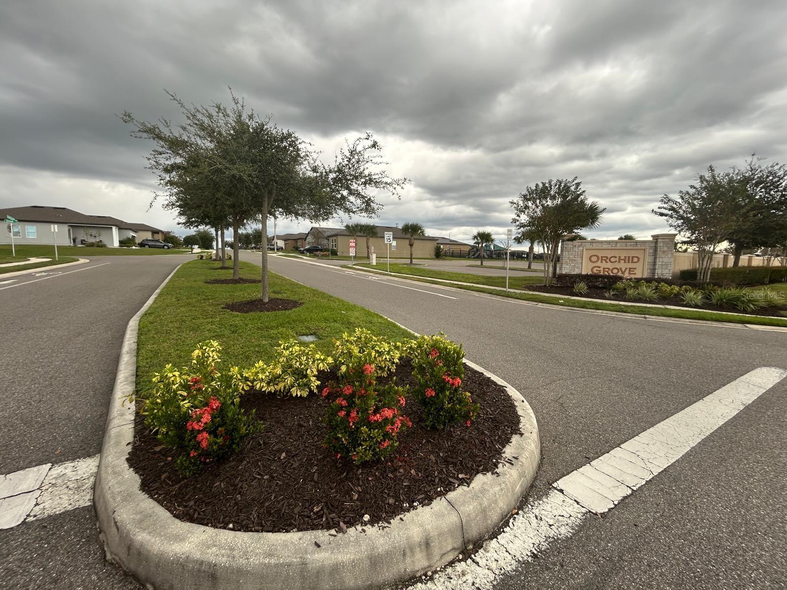 805 ORCHID GROVE BLVD, DAVENPORT, FL — photo 17