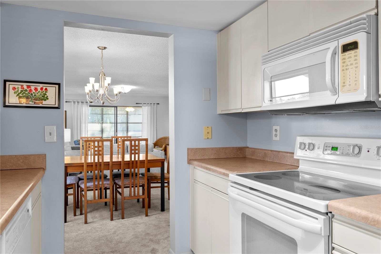 1601 43RD ST N #220, ST PETERSBURG, FL — photo 17
