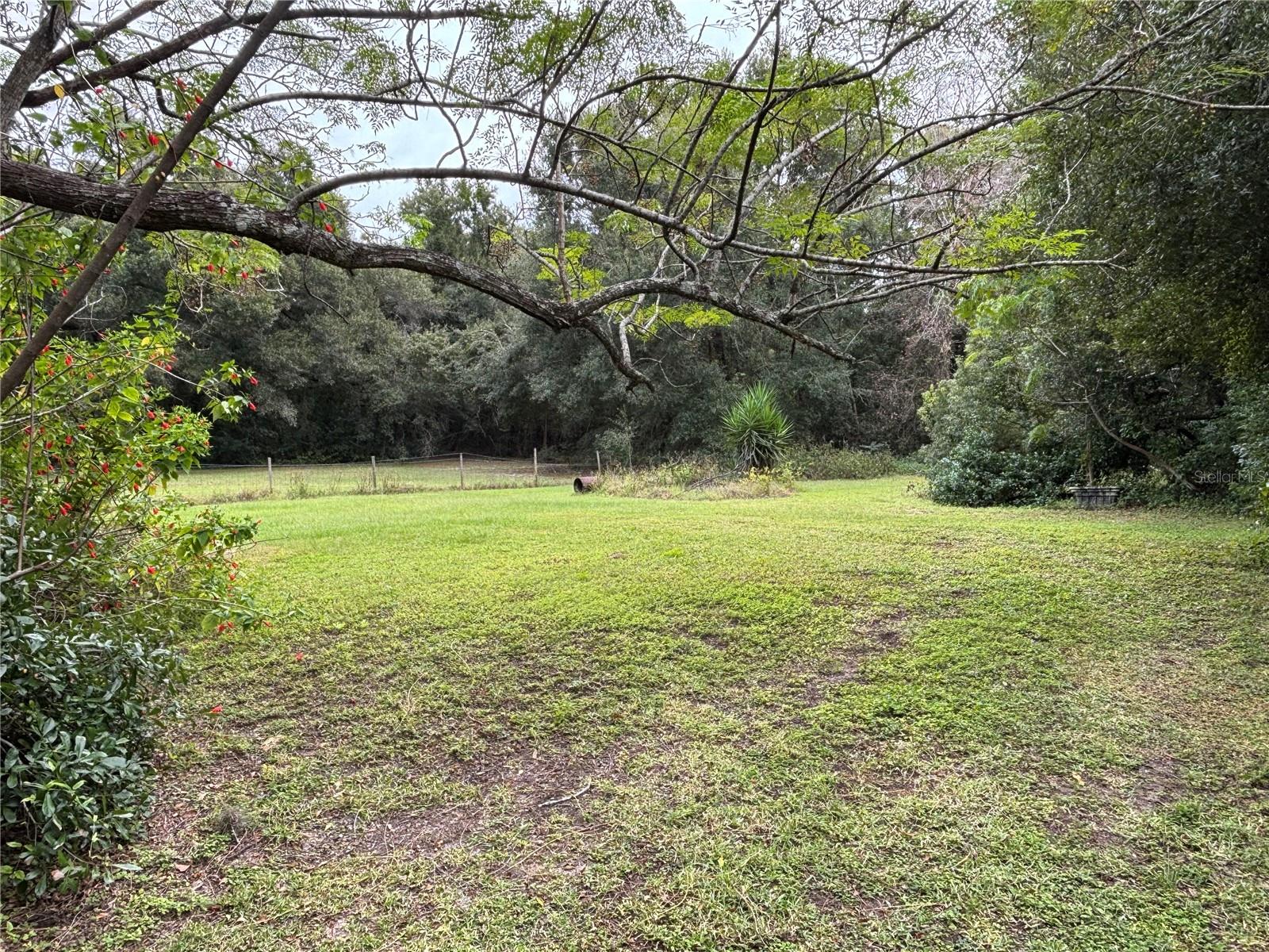 3427 GOLDEN GEM RD, APOPKA, FL — photo 11