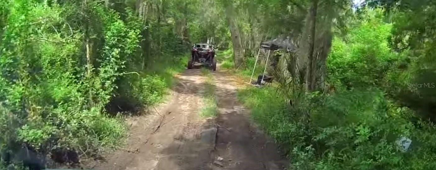 6500 MOTOR ENCLAVE WAY #1214, TAMPA, FL — photo 38