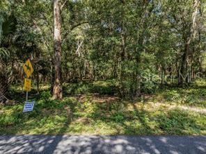 HUFF RD, EUSTIS, FL — photo 4