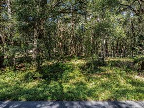 HUFF RD, EUSTIS, FL — photo 6