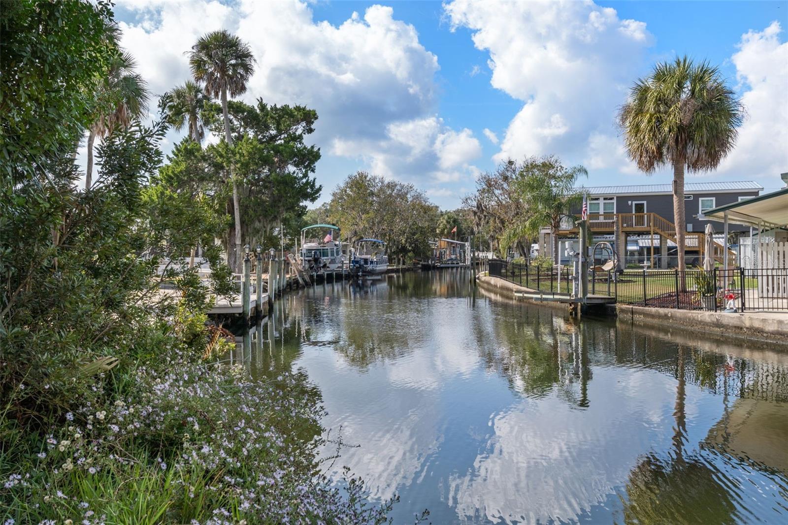 10199 W BLUE SPRINGS CT, HOMOSASSA, FL — photo 4