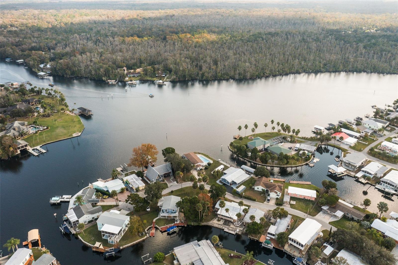 10199 W BLUE SPRINGS CT, HOMOSASSA, FL — photo 14