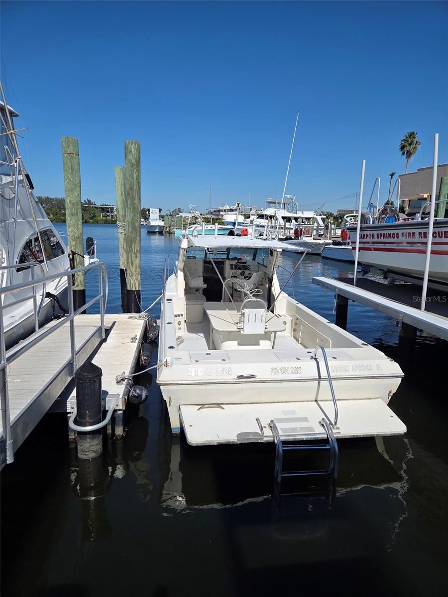 528 E TARPON AVE, TARPON SPRINGS, FL — photo 20