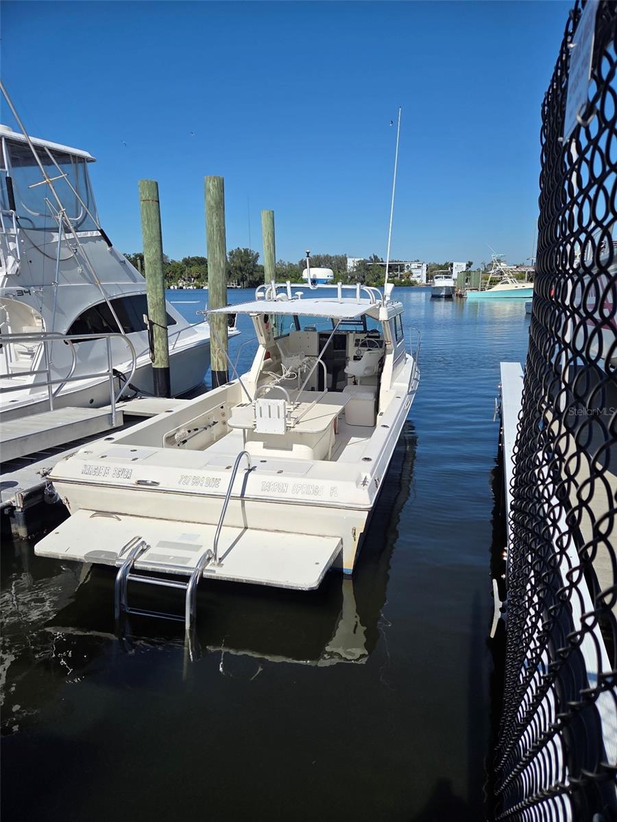528 E TARPON AVE, TARPON SPRINGS, FL — photo 23