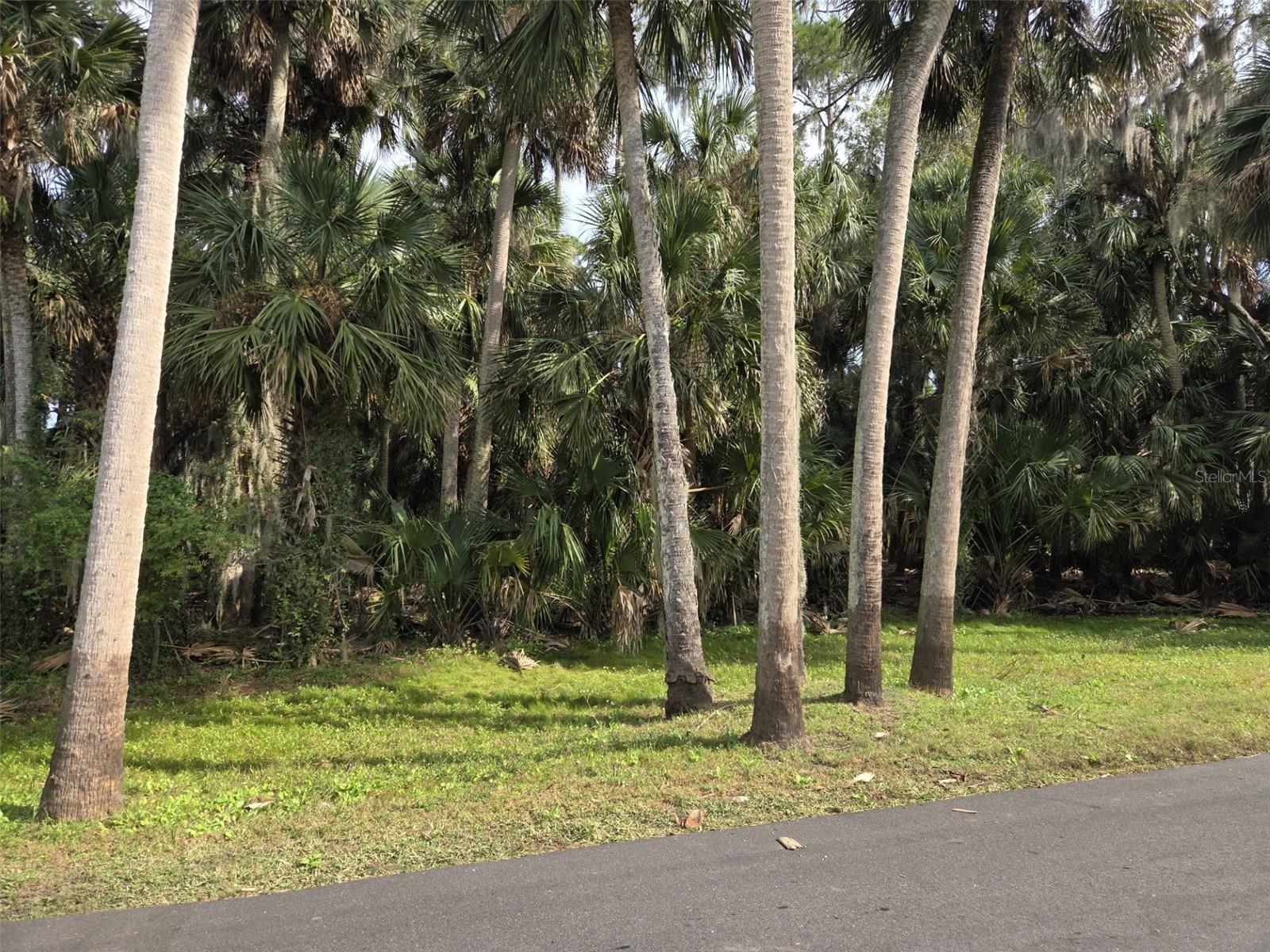 447 WARRIOR TRL, DELTONA, FL — photo 4