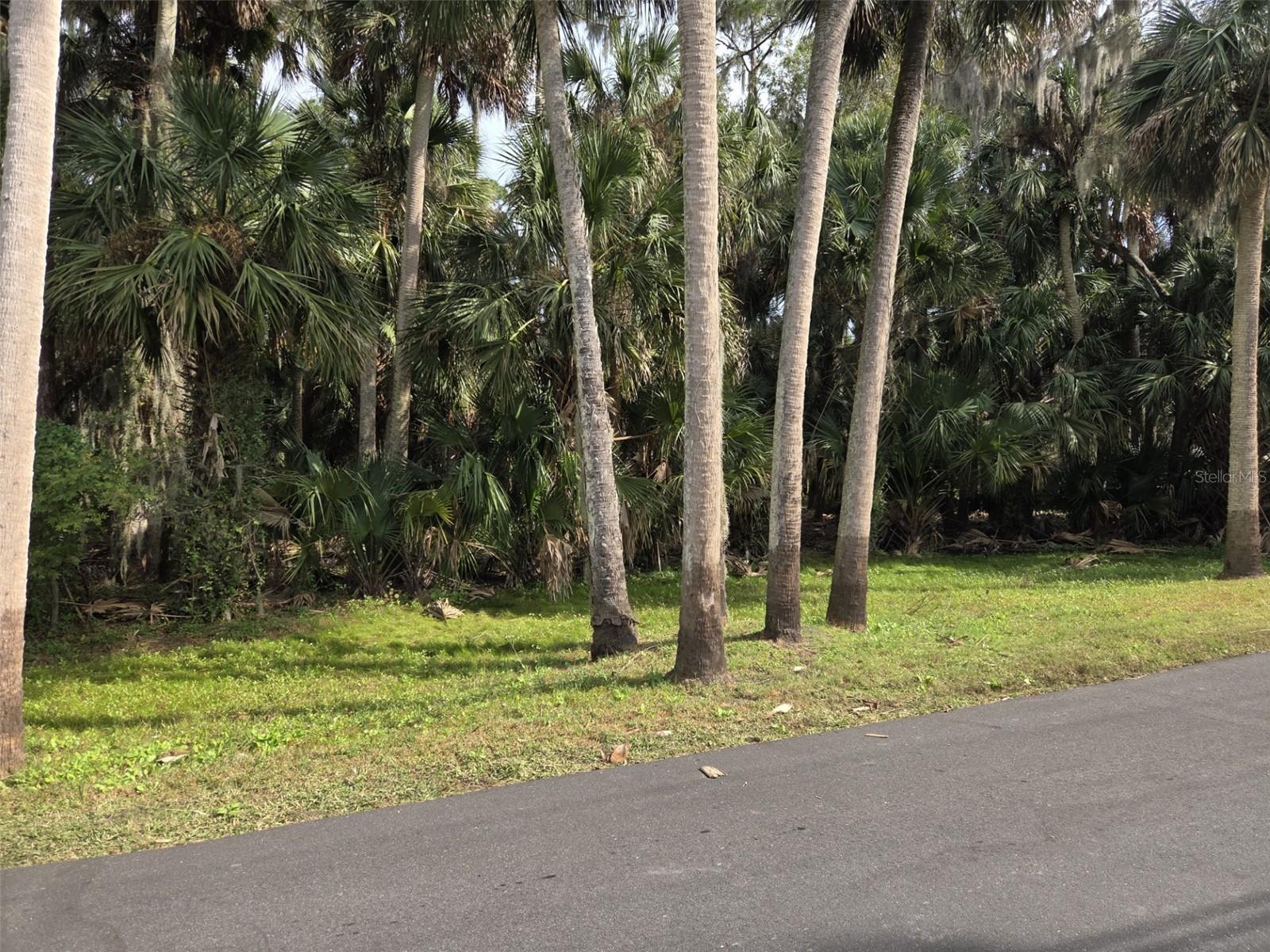 447 WARRIOR TRL, DELTONA, FL — photo 5