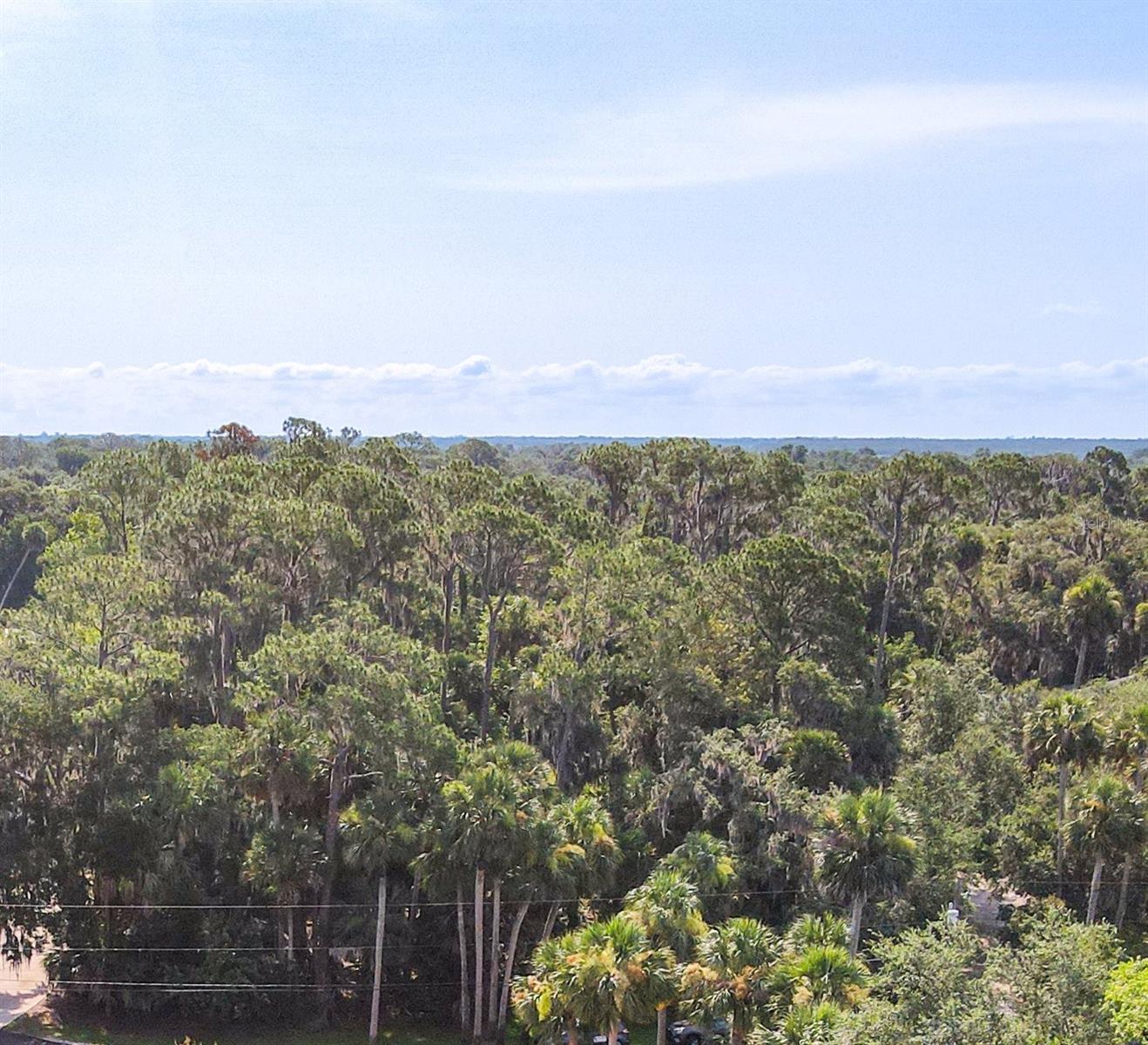 447 WARRIOR TRL, DELTONA, FL — photo 8