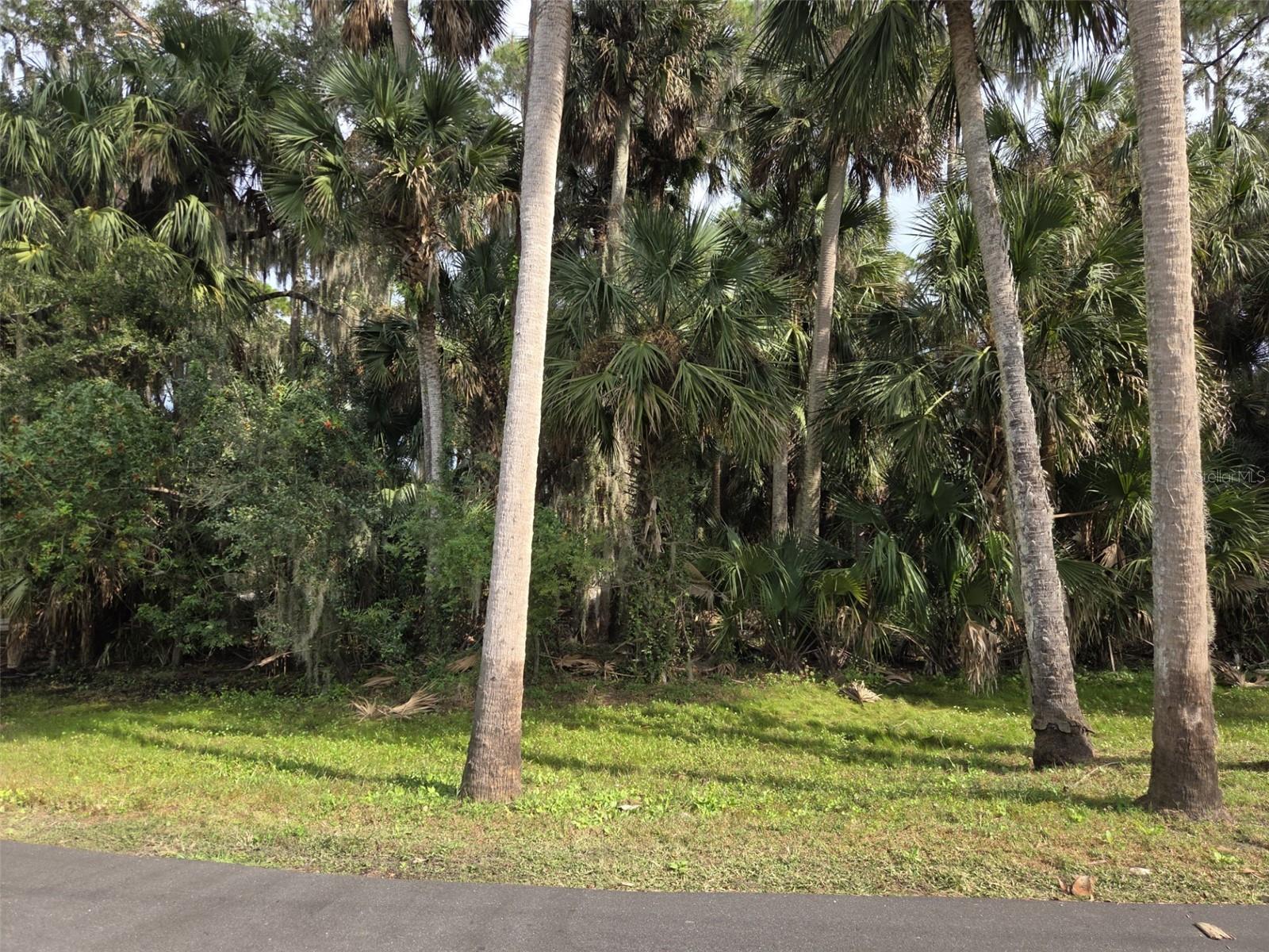 447 WARRIOR TRL, DELTONA, FL — photo 3