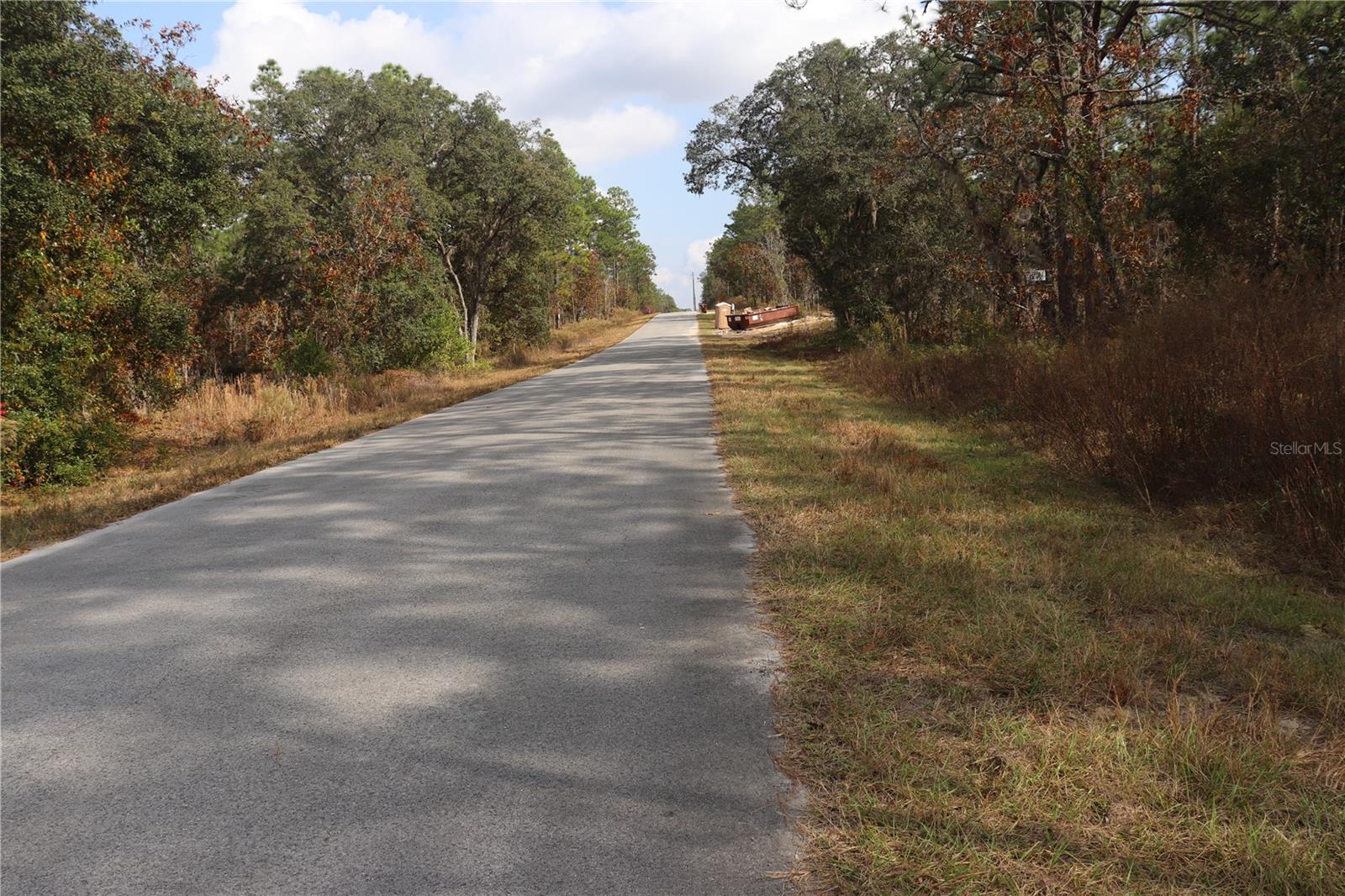 00 GERANIUM AVE, DUNNELLON, FL — photo 4