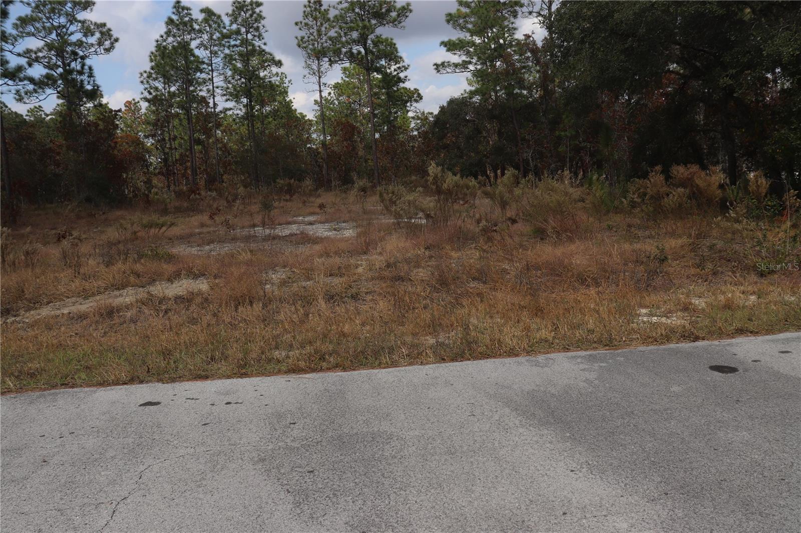 00 GERANIUM AVE, DUNNELLON, FL — photo 5