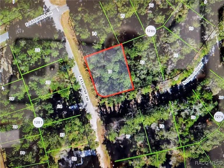 551 E ELGROVE DR, CITRUS SPRINGS, FL