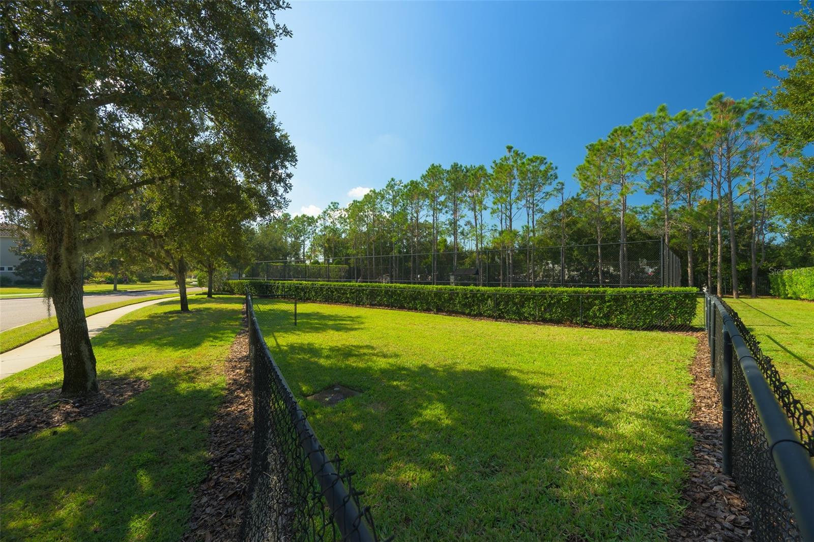 9127 TILLINGHAST DR, TAMPA, FL — photo 55