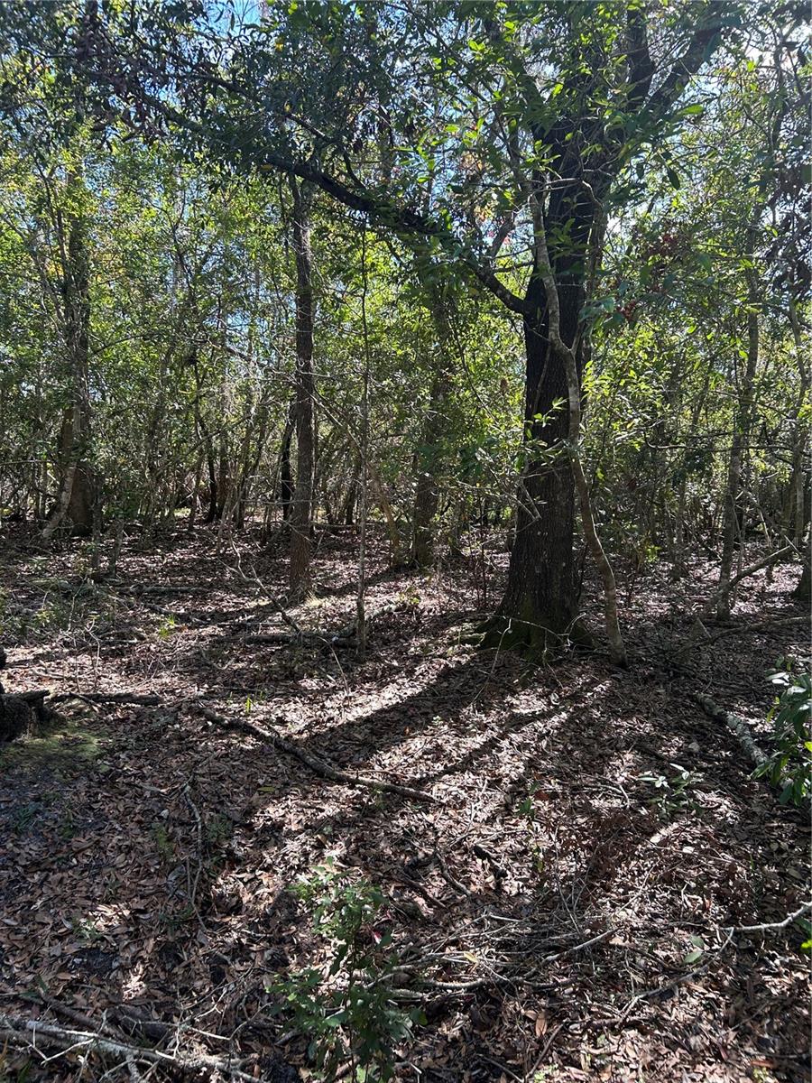7740 E SMOKE TRL, INVERNESS, FL — photo 4