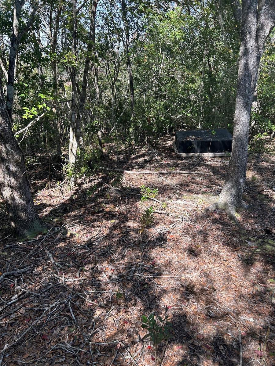 7740 E SMOKE TRL, INVERNESS, FL — photo 5