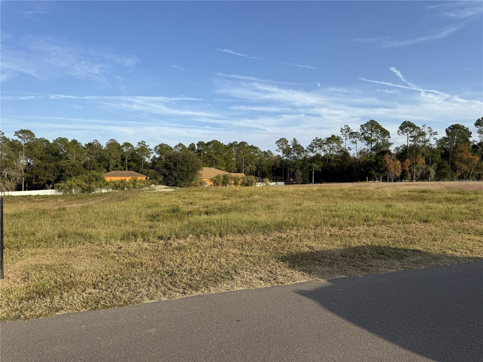 14950 MIM PL, DADE CITY, FL