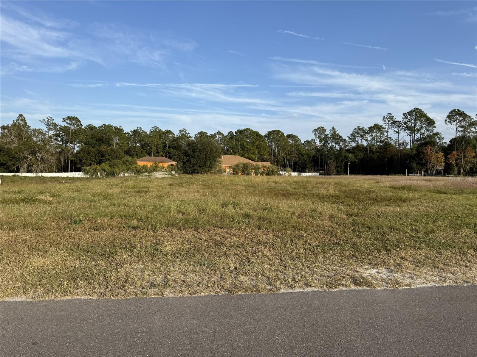 14950 MIM PL, DADE CITY, FL — photo 3