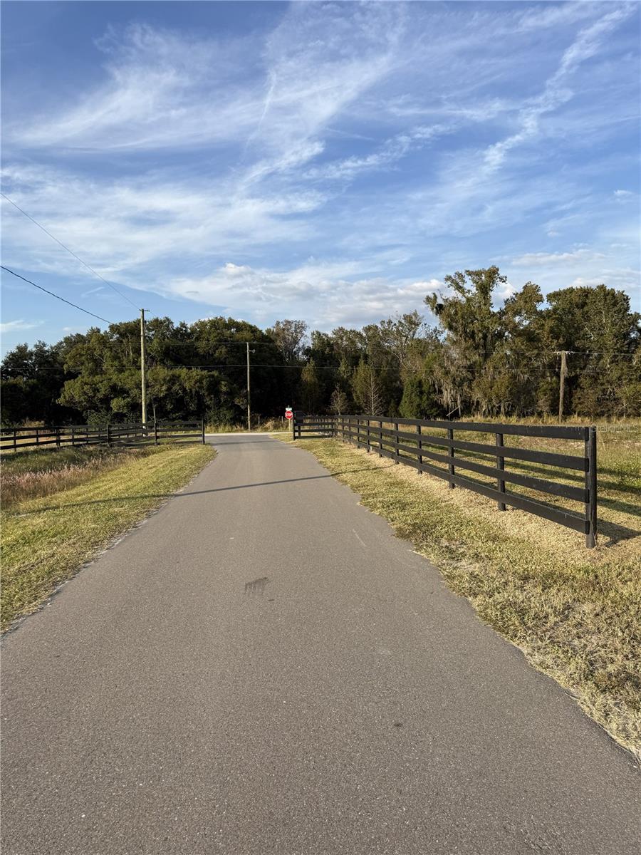 14950 MIM PL, DADE CITY, FL — photo 4