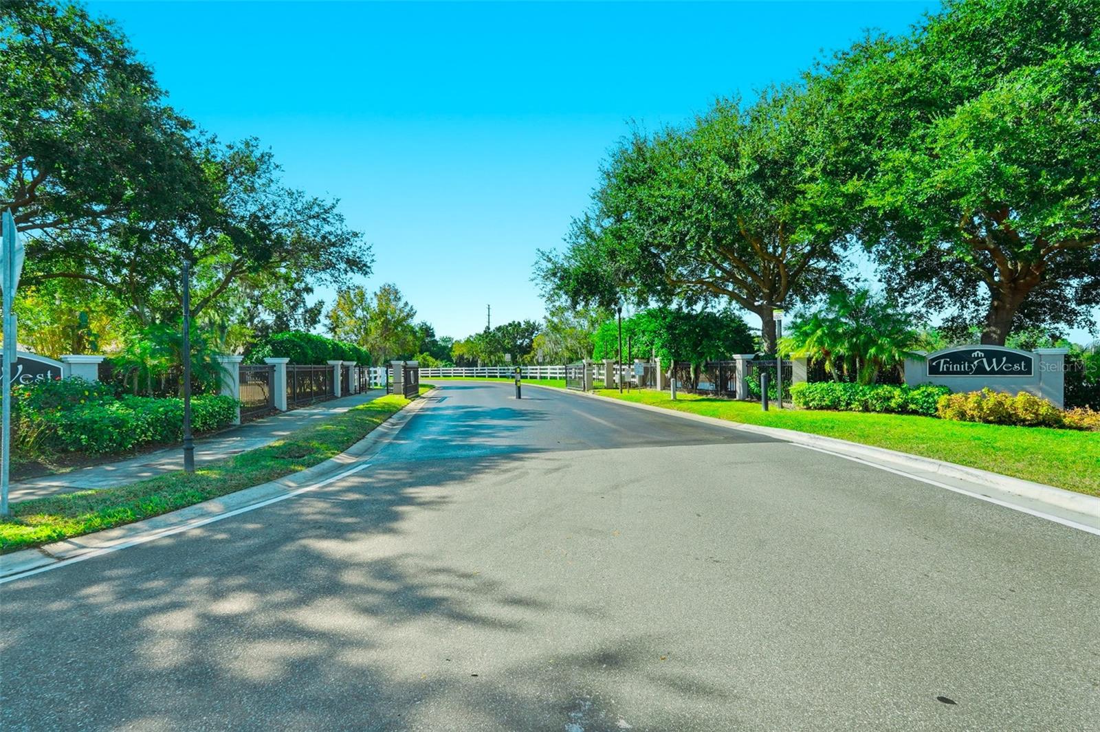 2807 MANNING DR, TRINITY, FL — photo 39