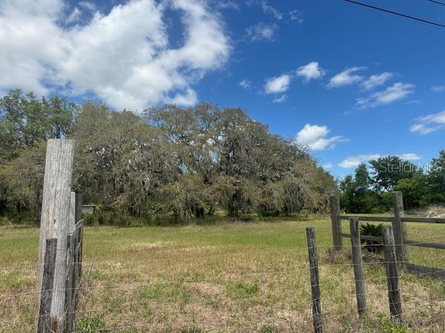 29707 COOPER RD, WESLEY CHAPEL, FL
