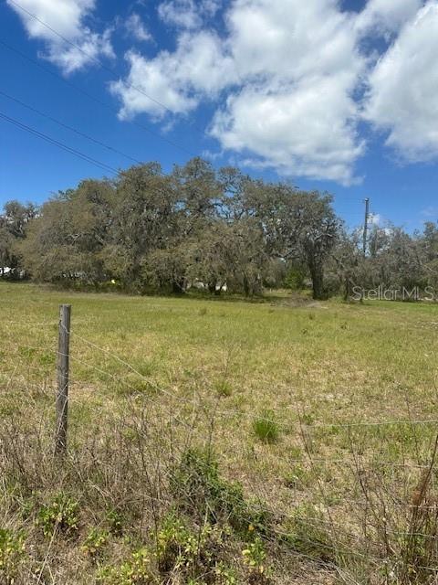 29707 COOPER RD, WESLEY CHAPEL, FL — photo 2