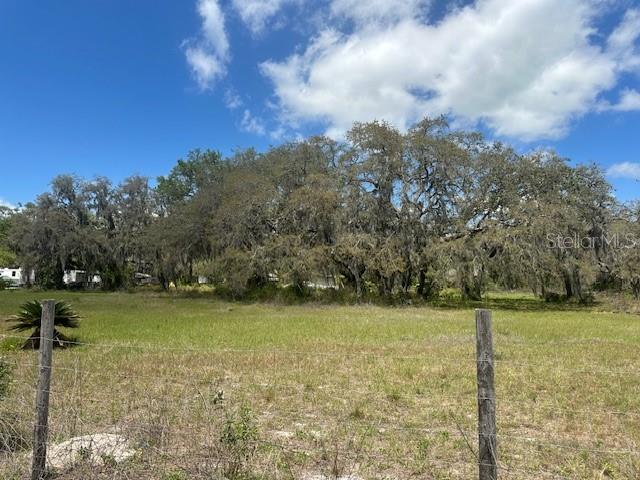 29707 COOPER RD, WESLEY CHAPEL, FL — photo 3
