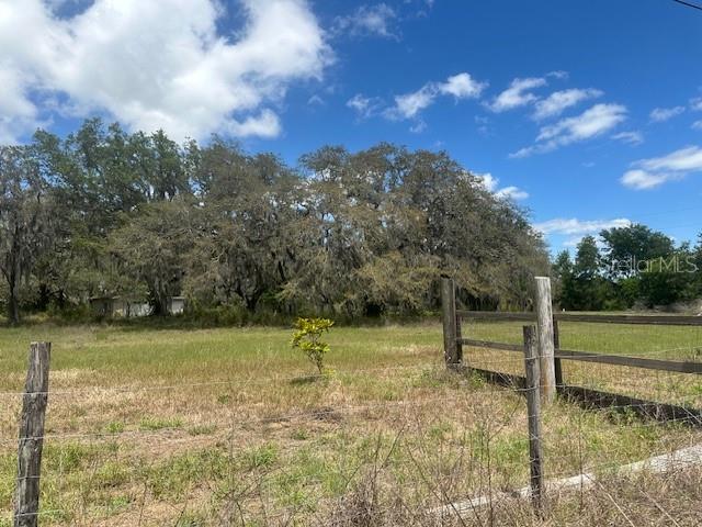 29707 COOPER RD, WESLEY CHAPEL, FL — photo 4