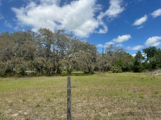 29707 COOPER RD, WESLEY CHAPEL, FL — photo 6