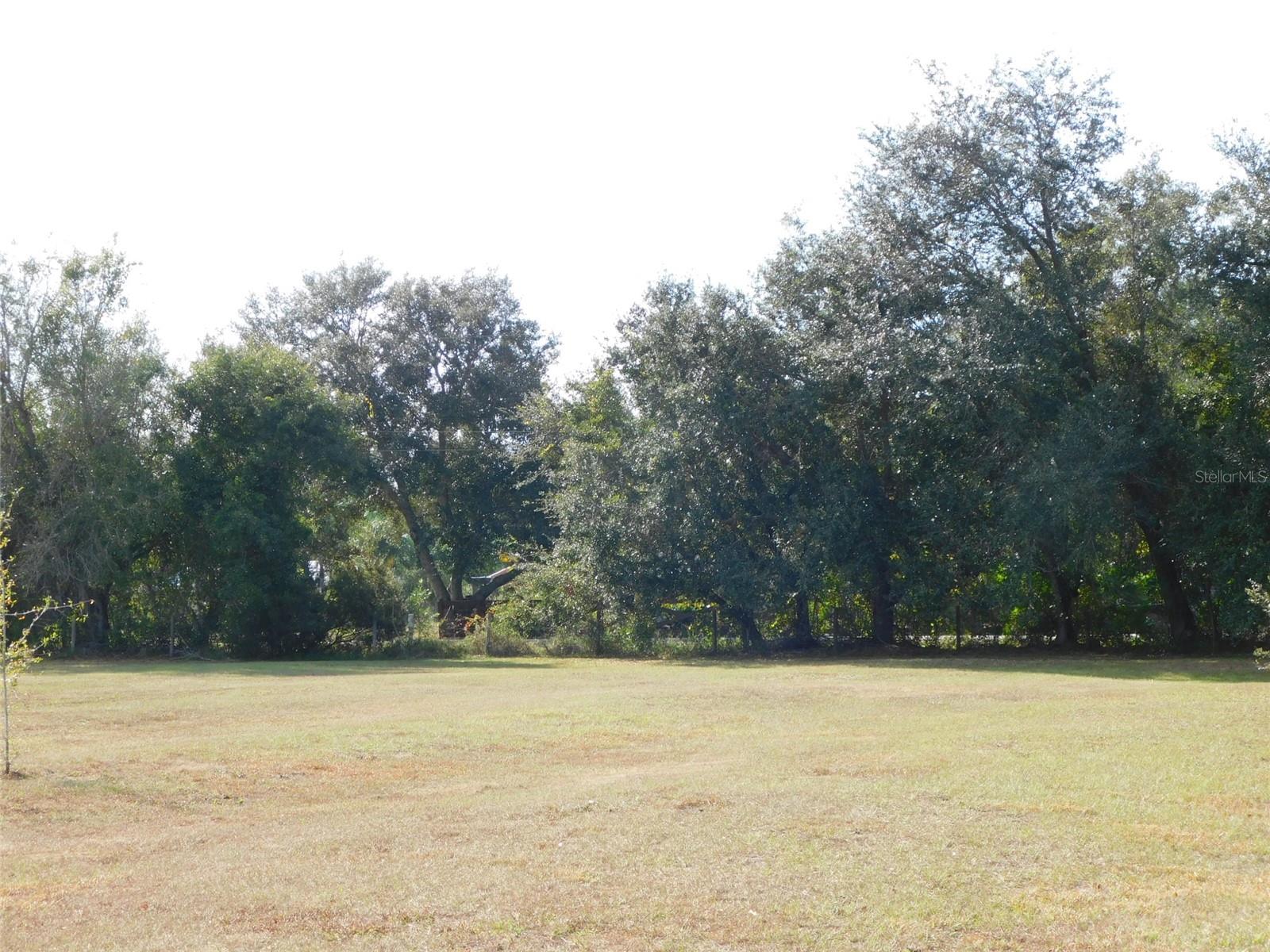 2460 NW GARVIN AVE, ARCADIA, FL — photo 4