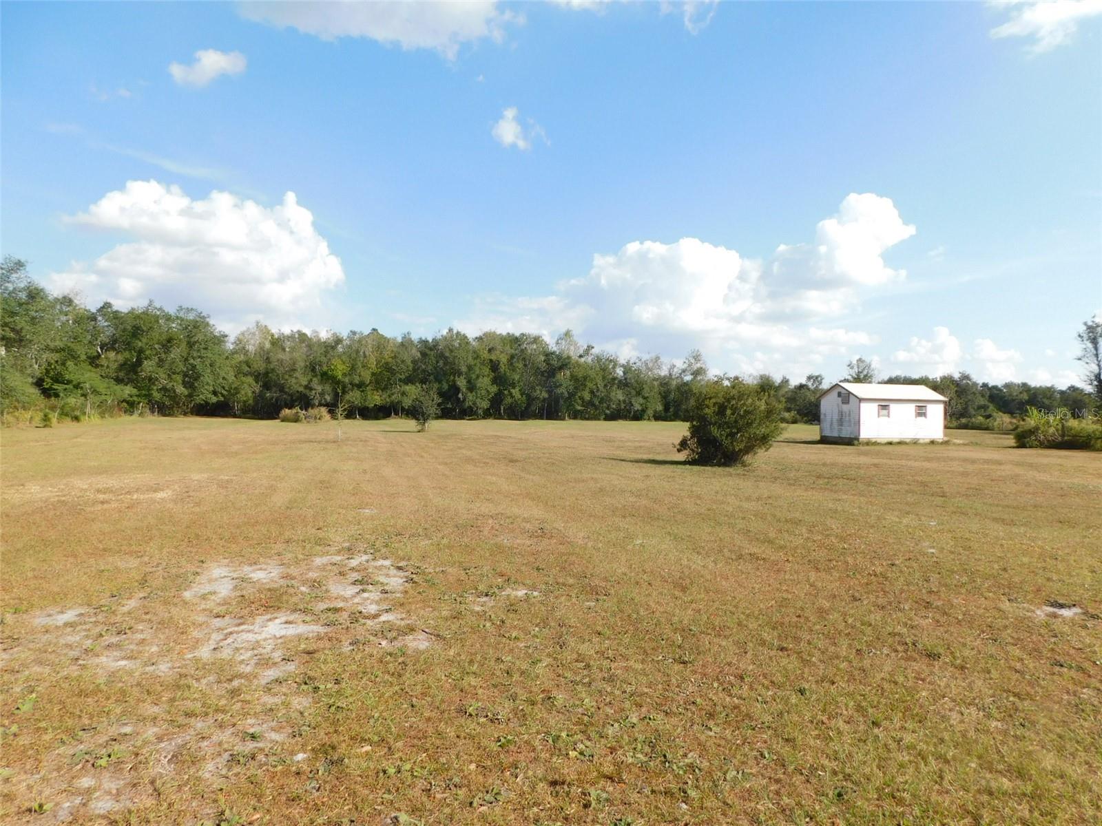 2460 NW GARVIN AVE, ARCADIA, FL — photo 5