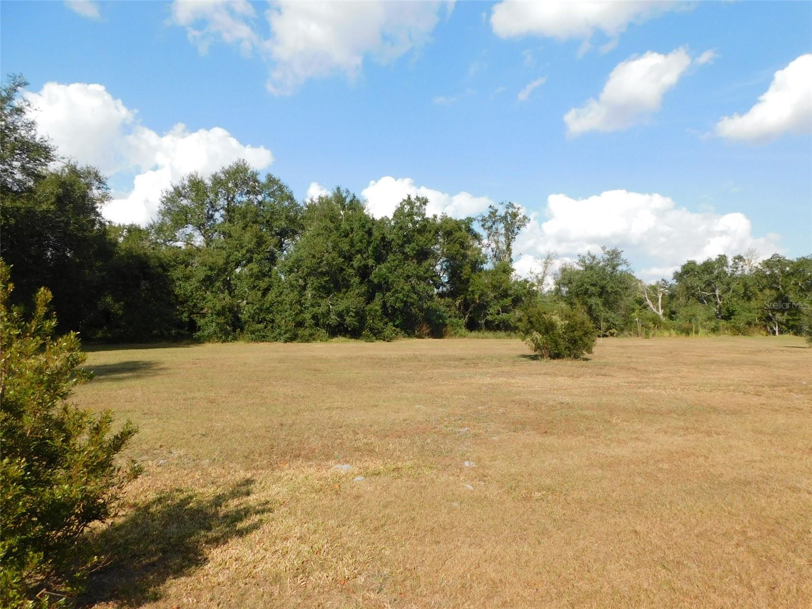 2460 NW GARVIN AVE, ARCADIA, FL — photo 9