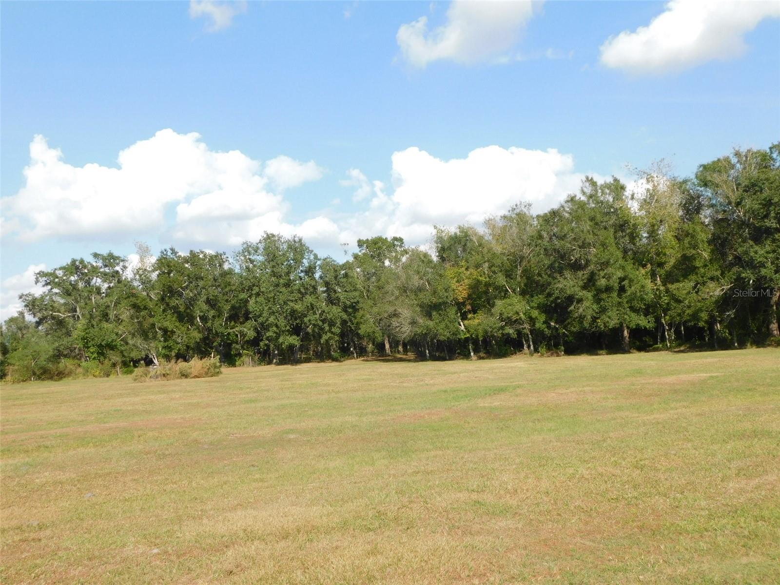 2460 NW GARVIN AVE, ARCADIA, FL — photo 10